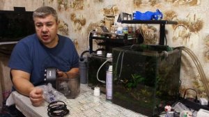 Посадка растений в  полюдариум на базе террариума repti z