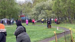 3 Отл. Ural Land YAVIR +++ №20 / КЧК САМАРА 27 апреля`25 И.Герлеман Моно нем. овчарок