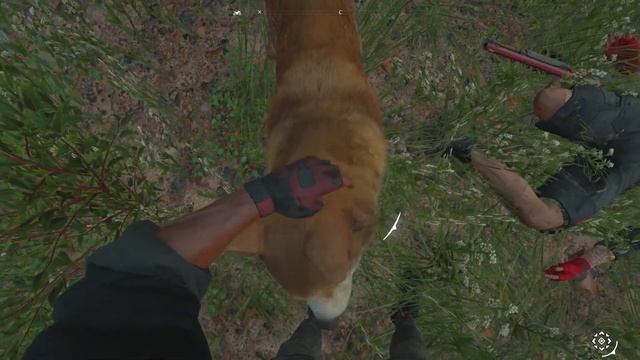 Far Cry New Dawn - У меня сегодня голова болит! "Баги, Приколы, Фейлы" смотреть онлайн