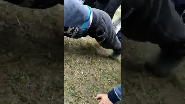 Пропаганда здорового образа жизни, соревнования среди детей 5-6 лет. с.Куруш.