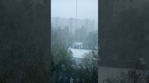 8 мая 2024 год Ну че, опять с Новым Годом