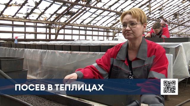 Бархатцы, петунии и каллы: весной улицы Нижнекамска ук