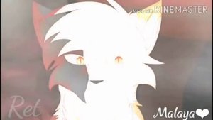 Клип Коты Воители.   Коты Воители.  Нурминский  За 105 двор