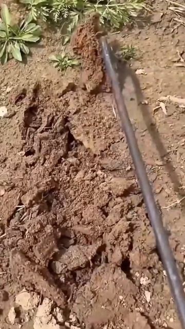 Дачный инструмент №1 #огород #дача #сад смотреть онлайн