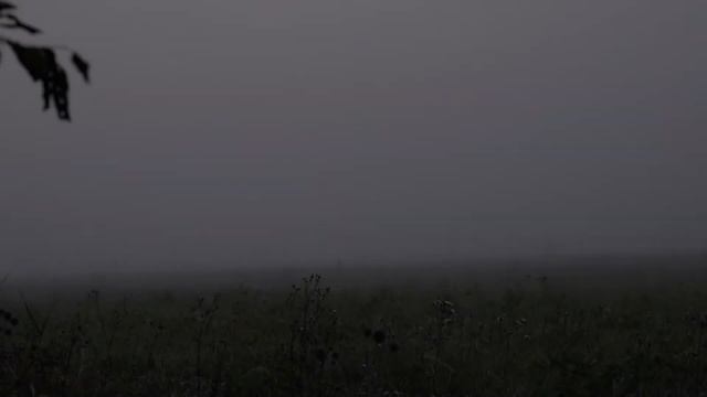 Туманы. Fogs смотреть онлайн