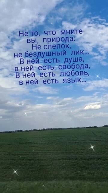 #природа #поля #луга #просторы #бескрайниеполя #горизонт #бескрайнеенебо #чистоенебо #небосвод #мату