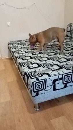 Держи за ниточку..