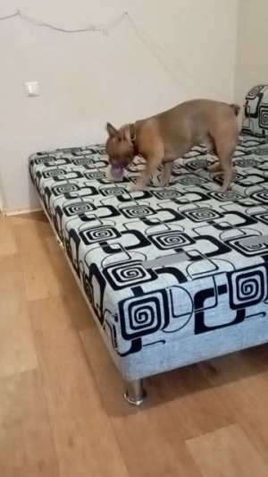 Держи за ниточку..