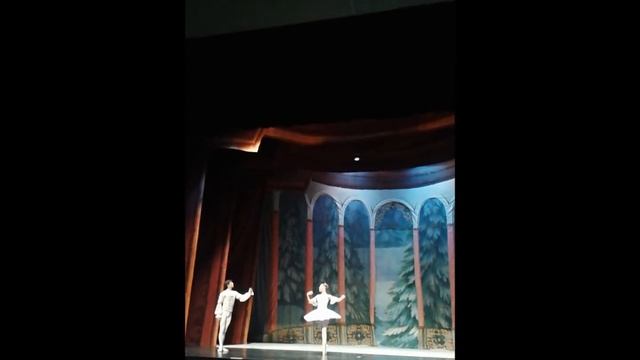 Щелкунчик(Palau Altea) смотреть онлайн