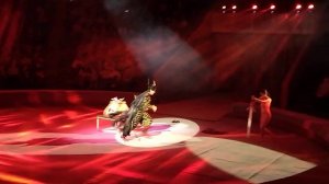 "ИЛЛЮЗИОНИСТ- ЧАРОДЕЙ", ШОУ "БАГДАСАРОВЫ. ПРО ЦИРК", КАЗАНСКИЙ ЦИРК