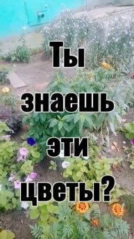 Напиши название в комментарии и получи лайк
