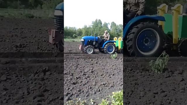 Сезон 2024.Клип к песне "Фермер Артур" и посев картофеля ?