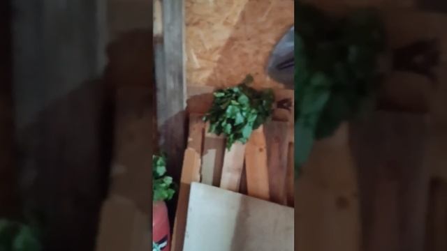 #деревенскаяжизнь #дачнаяжизнь #сарай #огород