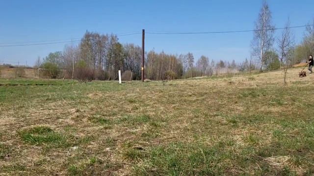rutube.ru