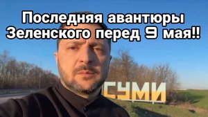 МРИЯ⚡️ ТАМИР ШЕЙХ / СЕРГЕЙ ЕГОРИН. ЗЕЛЕНСКИЙ ИДЕТ НА ОБОСТРЕНИЕ. Новости Сводки