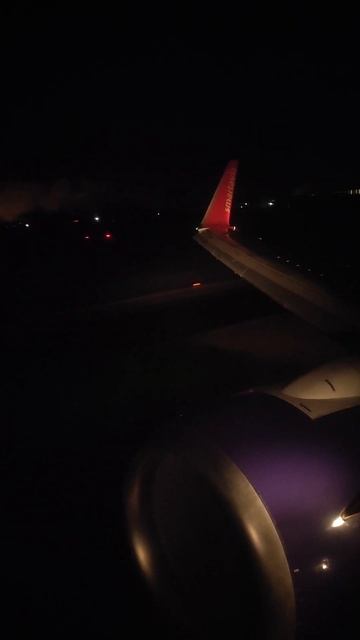 SMARTAVIA. Boeing737-700 Landing in Pulkovo (LED).Посадка в Пулково (LED) СПб. # смотреть онлайн