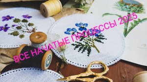 ВСЕ МОИ НАЧАТЫЕ ПРОЦЕССЫ ВЫШИВКИ. ЯНВАРЬ 2025