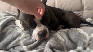 Пытается бороться со сном 😴