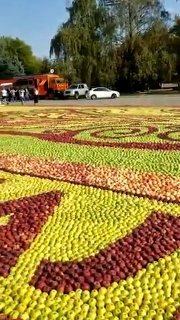 Нальчик в Книге Рекордов Гиннессасамая большая клумб