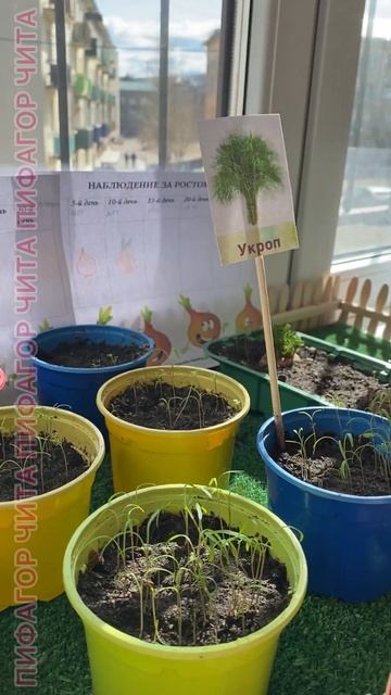 мы садили огород смотреть онлайн