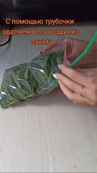 заготовка укропа на зиму