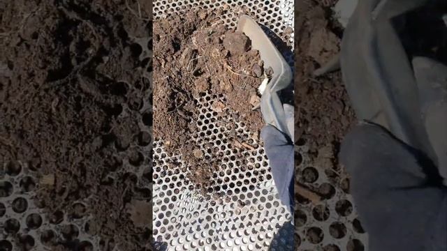 #тетяоля Компостная куча из шифера #компост #шифер #изт