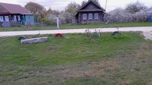 Утро в деревне