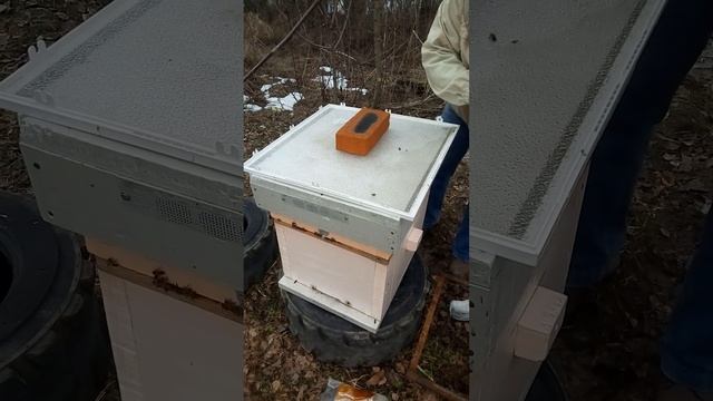 апрель подкормка смотреть онлайн