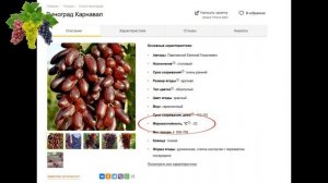 "Неукрывные" сорта винограда