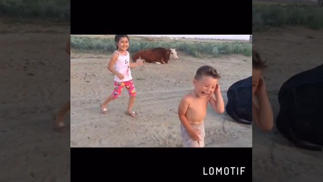 Самое при самое смешное видео!!! Я смеялась очень долго!!! смотреть онлайн