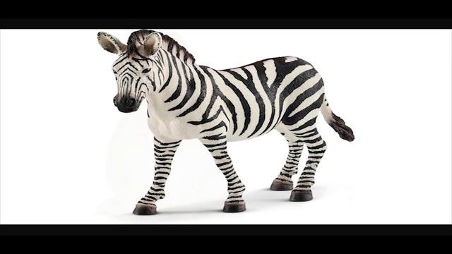 50 слов для малышей. Развивающее видео для детей