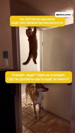 Признавайтесь, было такое? 😅