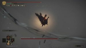 Погребальная птица [153] Elden Ring