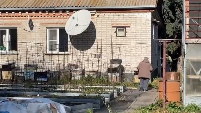 Подготовка сибирского огорода к зиме смотреть онлайн