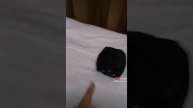 моё 1 видео