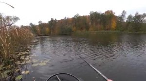 Закинул большую приманку и она съела ее вместе с поводком! Ловля щуки на джиг и воблер.