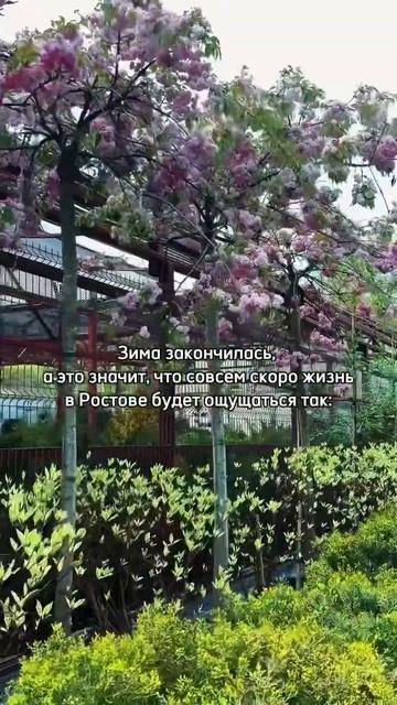 Садовый центр в Ростове ждёт вас #ростовнадону #озелен смотреть онлайн
