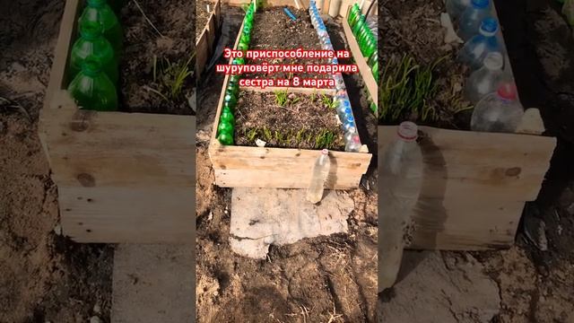 Мои грядки. 1/4/24 #огород