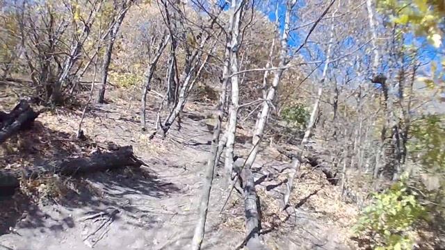 Вело экстрим "ПУТЬ МИРА"! 2 смотреть онлайн