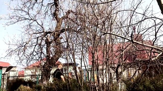 доброе время суток! весна....шашлык огород полив розы т? смотреть онлайн