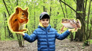 Хотел покормить БЕЛКУ, а нашёл ЛЯГУШКУ в лесу