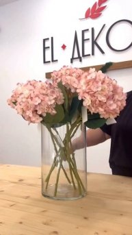 Самые красивые декоративные цветы в Ставрополе в EL Де?