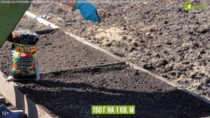 КОГДА ПОСЕЯТЬ СВЕКЛУ?! Подготовьте грядку под свеклу п