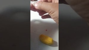 делаем гепарда из пластилина 1часть