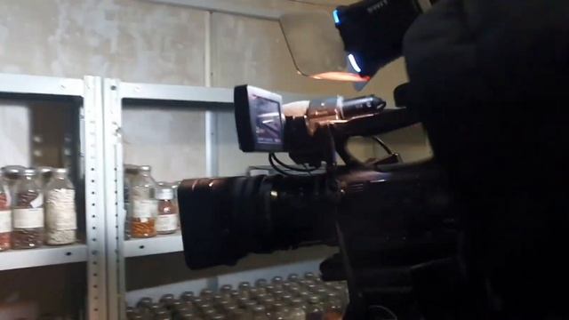 Семена хранятся 40 лет. Уникальное криохранилище 😱❄️ смотреть онлайн