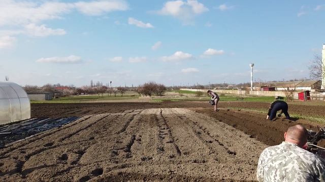 Март 2023 Ура, посадили картошку