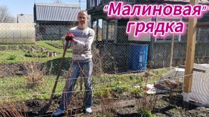 "Малиновые" грядки, или как сделать грядки для малины.