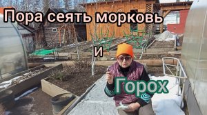 СНЕЖНЫЙ КОЛЛАПС/ПОСЕВ МОРКОВИ, ГОРОХА/ЗЕЛЕНЬ В ТЕПЛИЦЕ/УБОРКА УЧАСТКА#4.02.05.25г