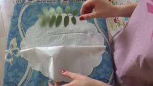 ГЕРБАРИЙ ЗА 1 МИНУТУ! Как засушить растения быстро? Varvar