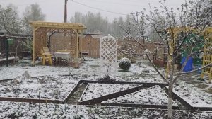 6 соток в снегу 6 часов утра 6 мая 2025 года